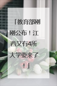 教育部刚刚公布！江西又有4所大学要来了！
