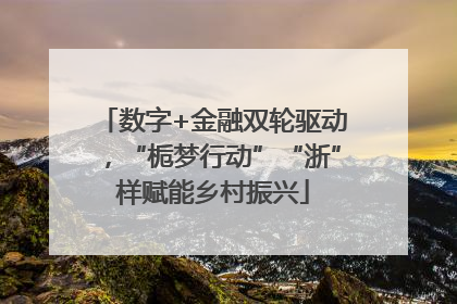 数字+金融双轮驱动，“栀梦行动”“浙”样赋能乡村振兴