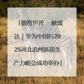 数智世界 一触冀达｜华为中国行2025河北沧州新质生产力峰会成功举办