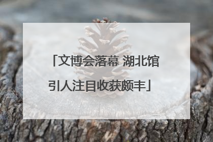 文博会落幕 湖北馆引人注目收获颇丰