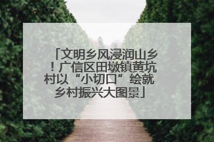 文明乡风浸润山乡！广信区田墩镇黄坑村以“小切口”绘就乡村振兴大图景