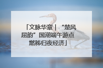 文脉华章｜“楚风屈韵”国潮端午游点燃秭归夜经济