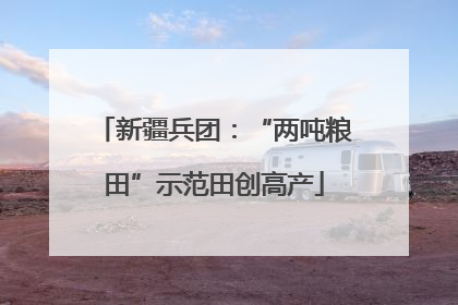 新疆兵团：“两吨粮田”示范田创高产