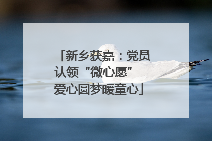 新乡获嘉：党员认领“微心愿” 爱心圆梦暖童心