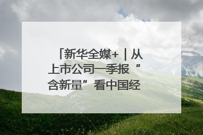 新华全媒+｜从上市公司一季报“含新量”看中国经济发展向“新”