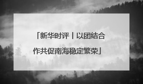 新华时评丨以团结合作共促南海稳定繁荣