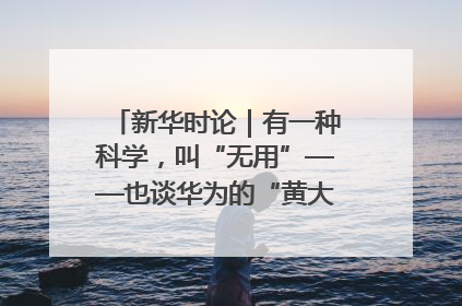 新华时论｜有一种科学，叫“无用”——也谈华为的“黄大年茶思屋”
