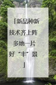 新品种新技术齐上阵 多地一片好“丰”景