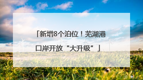 新增8个泊位！芜湖港口岸开放“大升级”