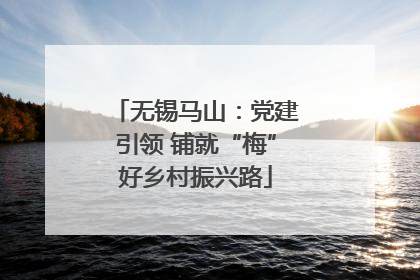 无锡马山：党建引领 铺就“梅”好乡村振兴路