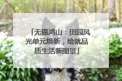 无锡鸿山：田园风光单元焕新，绘就品质生活新图景