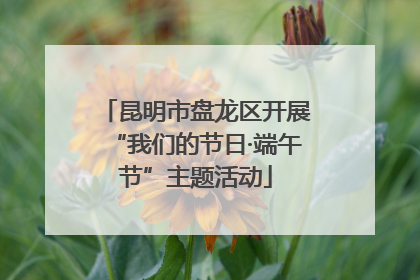 昆明市盘龙区开展“我们的节日·端午节”主题活动
