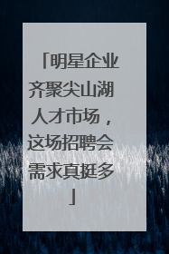 明星企业齐聚尖山湖人才市场，这场招聘会需求真挺多