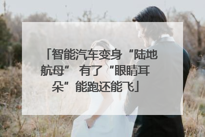 智能汽车变身“陆地航母” 有了“眼睛耳朵”能跑还能飞
