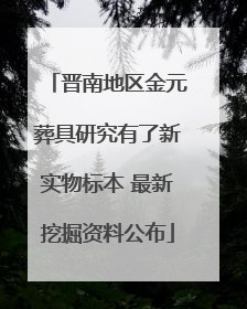 晋南地区金元葬具研究有了新实物标本 最新挖掘资料公布