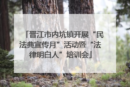 晋江市内坑镇开展“民法典宣传月”活动暨“法律明白人”培训会