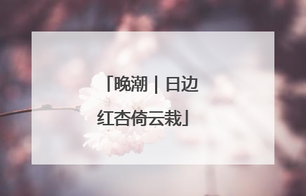 晚潮｜日边红杏倚云栽