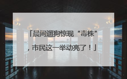 晨间遛狗惊现“毒株”，市民这一举动亮了！