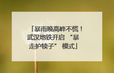 暴雨晚高峰不慌！武汉地铁开启 “暴走护犊子” 模式