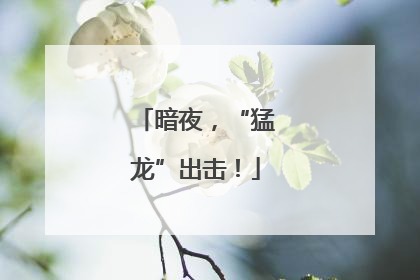 暗夜，“猛龙”出击！