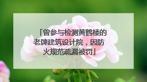 曾参与检测黄鹤楼的老牌建筑设计院，因防火规范疏漏被罚