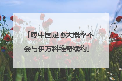 曝中国足协大概率不会与伊万科维奇续约