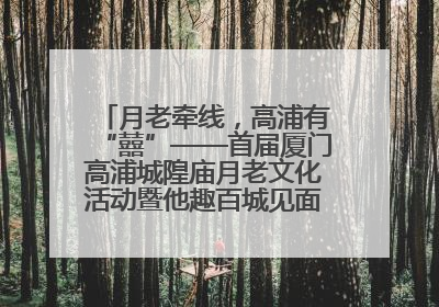 月老牵线，高浦有“囍”——首届厦门高浦城隍庙月老文化活动暨他趣百城见面会隆重举办