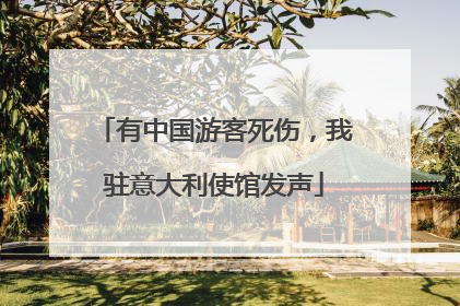 有中国游客死伤，我驻意大利使馆发声