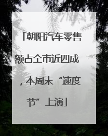 朝阳汽车零售额占全市近四成，本周末“速度节”上演
