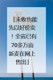 未收也能先以好价卖！全省已有70多万亩新麦在网上售出