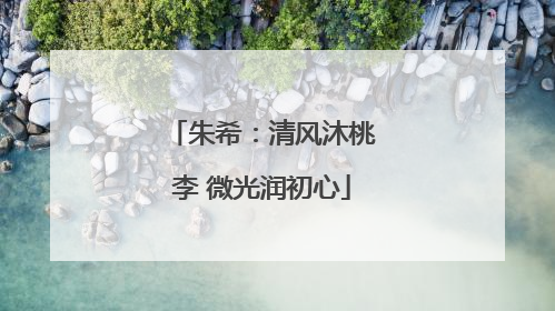 朱希：清风沐桃李 微光润初心