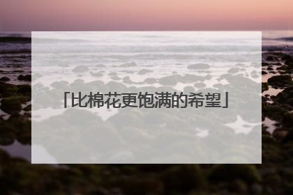 比棉花更饱满的希望