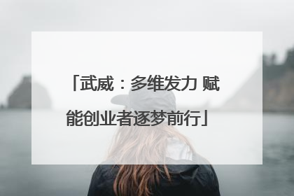 武威：多维发力 赋能创业者逐梦前行