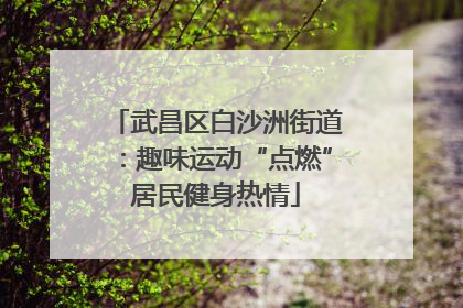 武昌区白沙洲街道：趣味运动“点燃”居民健身热情