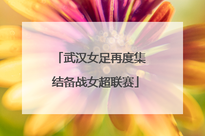 武汉女足再度集结备战女超联赛