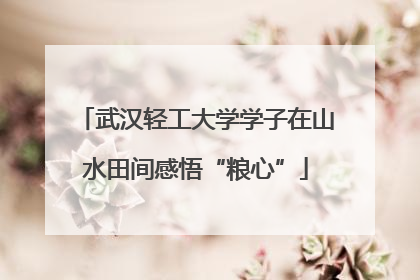 武汉轻工大学学子在山水田间感悟“粮心”