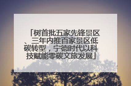 树首批五家先锋景区、三年内推百家景区低碳转型，宁德时代以科技赋能零碳文旅发展