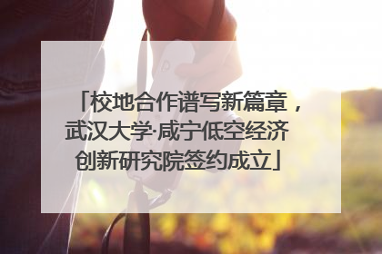 校地合作谱写新篇章，武汉大学·咸宁低空经济创新研究院签约成立