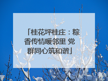 桂花坪桂庄：粽香传情暖邻里 党群同心筑和谐