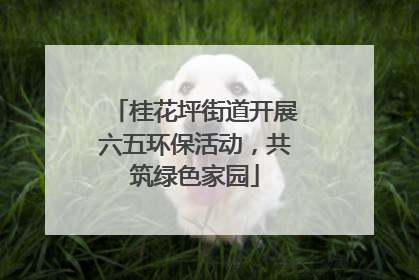桂花坪街道开展六五环保活动，共筑绿色家园