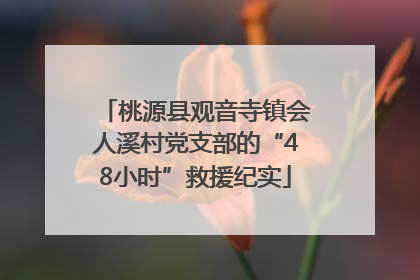 桃源县观音寺镇会人溪村党支部的“48小时”救援纪实