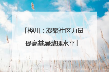 桦川：凝聚社区力量 提高基层整理水平