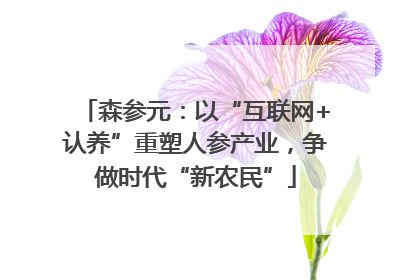 森参元：以“互联网+认养”重塑人参产业，争做时代“新农民”
