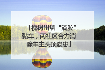 槐树出墙“滴胶”黏车，两社区合力消除车主头顶隐患