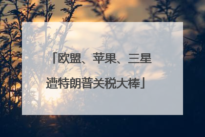 欧盟、苹果、三星遭特朗普关税大棒