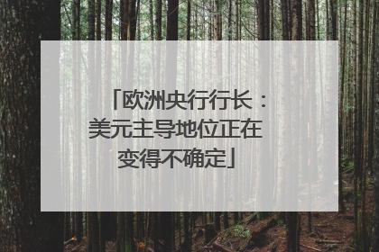 欧洲央行行长：美元主导地位正在变得不确定