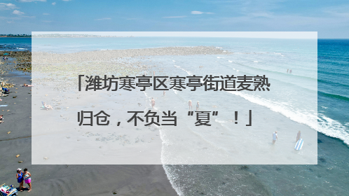 潍坊寒亭区寒亭街道麦熟归仓，不负当“夏”！