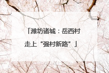 潍坊诸城：岳西村走上“强村新路”