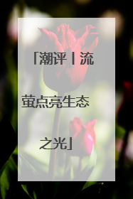 潮评丨流萤点亮生态之光