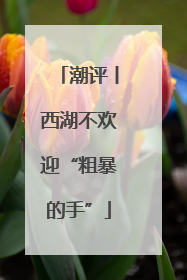 潮评丨西湖不欢迎“粗暴的手”